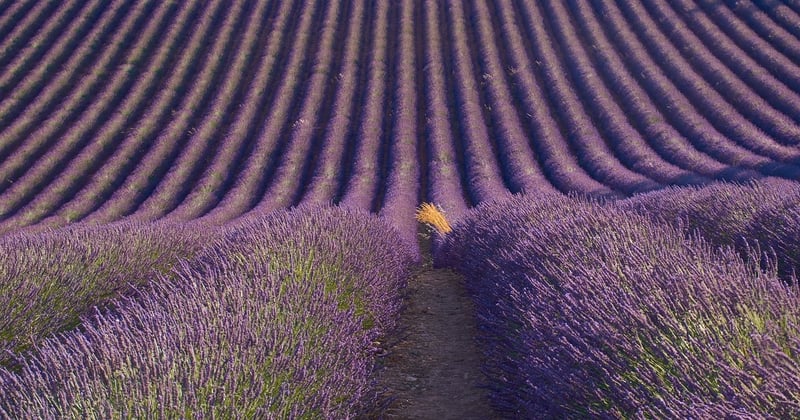 Déménagement des seniors en Provence : un accompagnement sur mesure